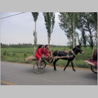 Chine 1 164.jpg