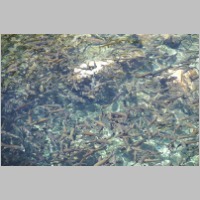 PICT11648.JPG