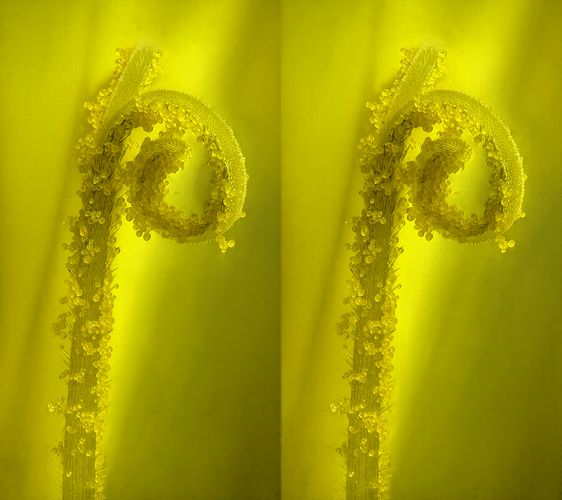 stereo%2048_000_500.jpg